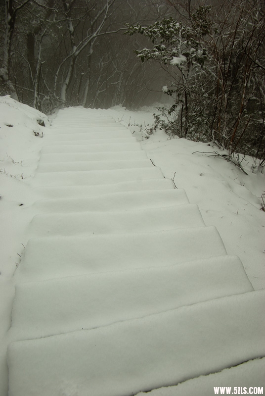 20120226-IMGP4923.jpg