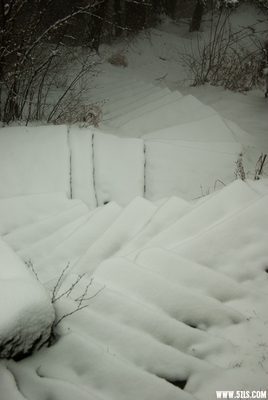 20120226-IMGP4939.jpg