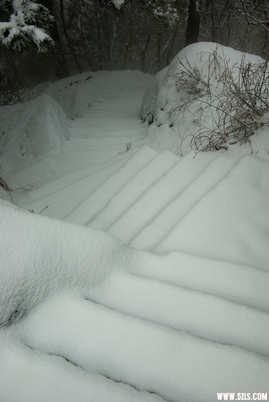 20120226-IMGP4936.jpg