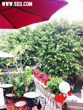 在雨