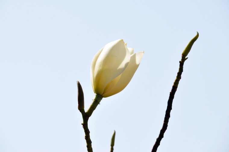 DSC_0041.jpg