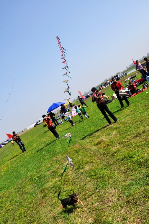 DSC_0127.jpg