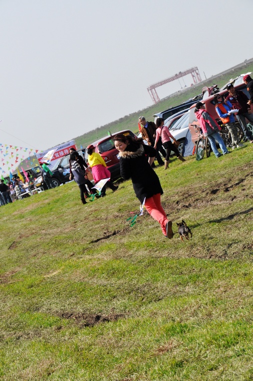 DSC_0131.jpg