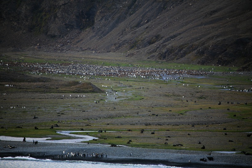 20111271492231583.jpg