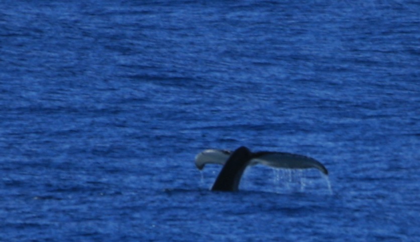20112513251326414.jpg
