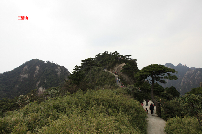 _MG_8098e.jpg