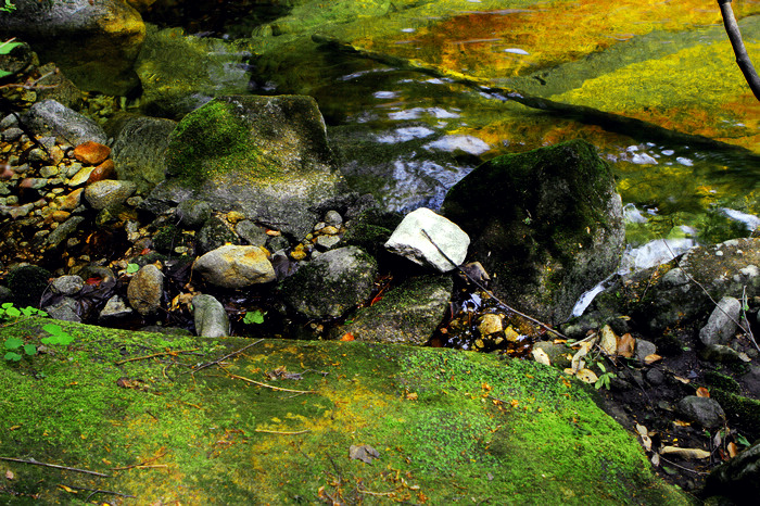 nEO_IMG__MG_0248.jpg
