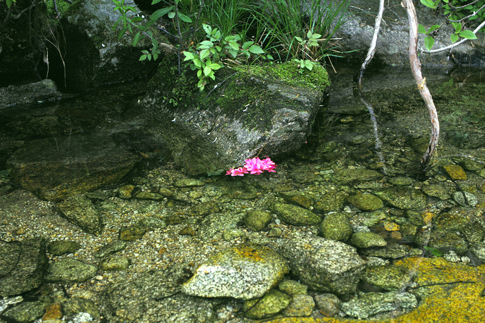 nEO_IMG__MG_0400.jpg