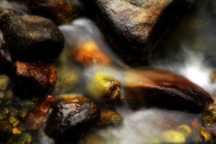 nEO_IMG__MG_0639.jpg