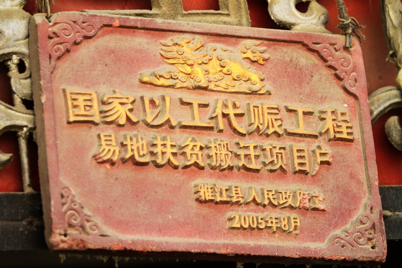 IMG_1537.jpg