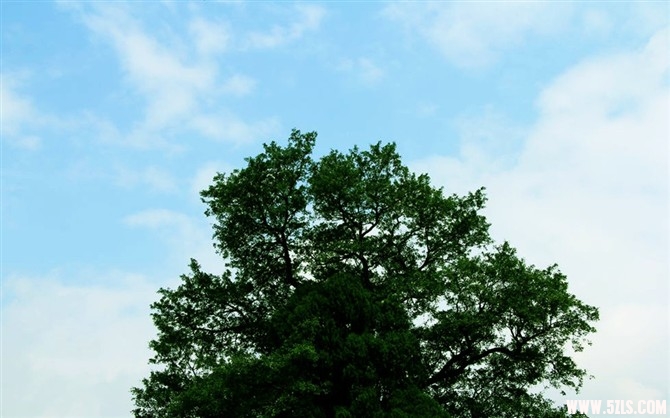 nEO-IMG-1140.jpg