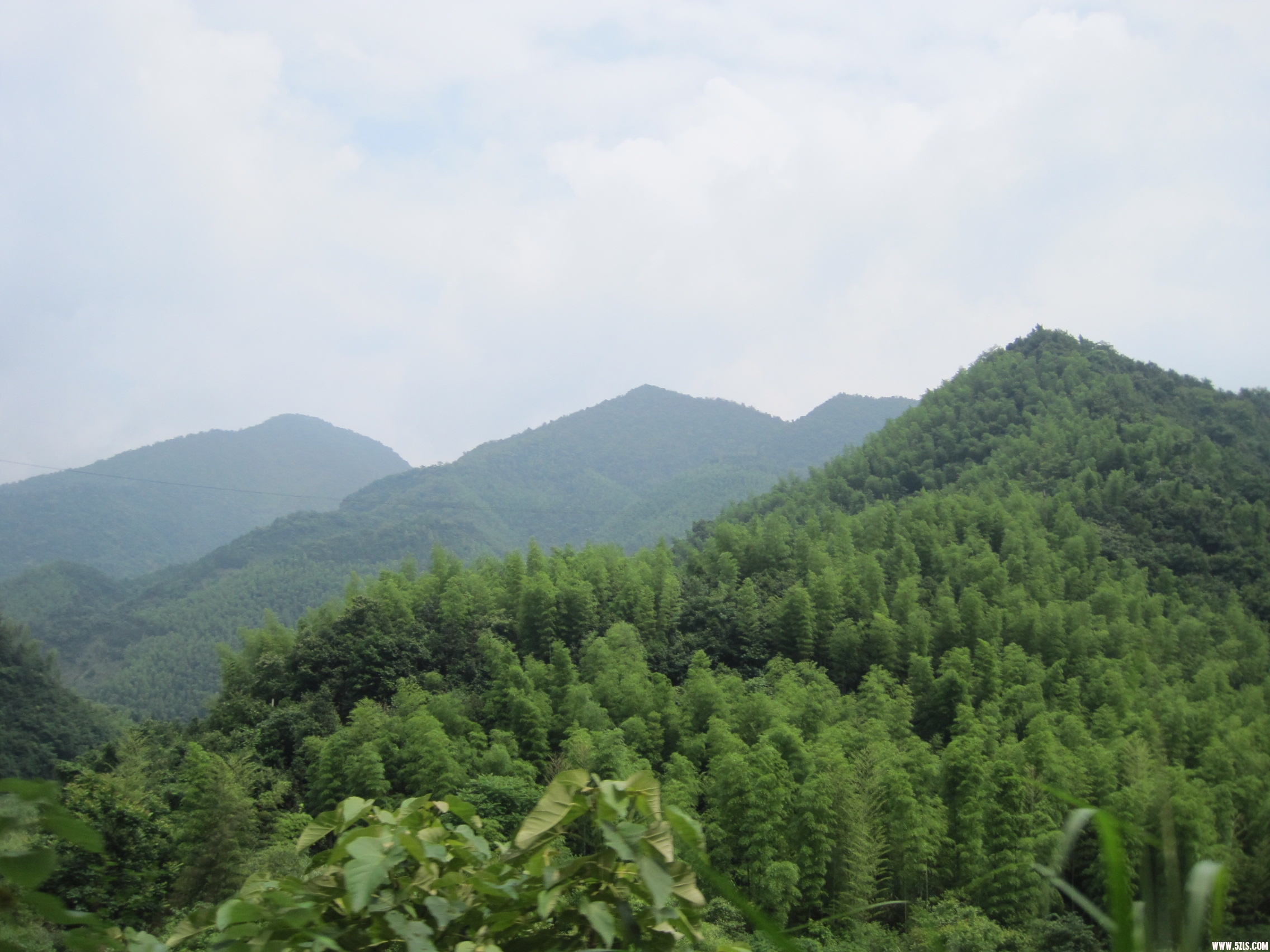 IMG_6486.JPG