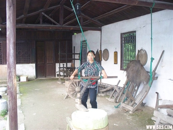 010.jpg