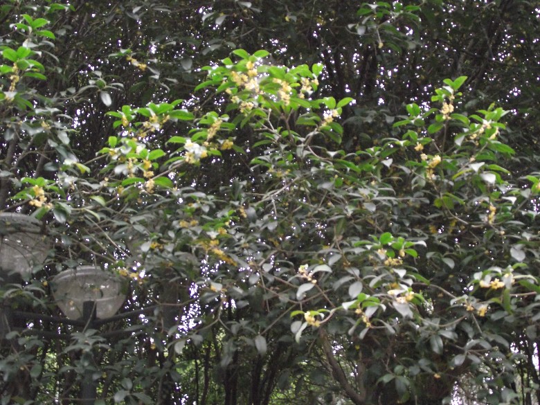 2010_10100032_.jpg