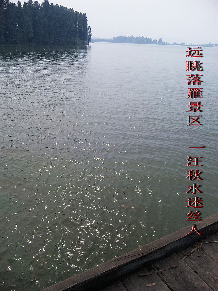neo_img_Զ㾰 һˮ˿.jpg