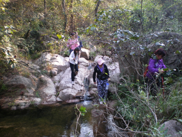 20101005_60.jpg