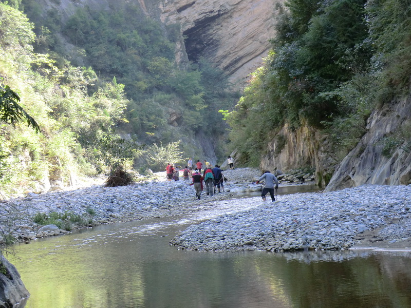 2010106051337255.jpg