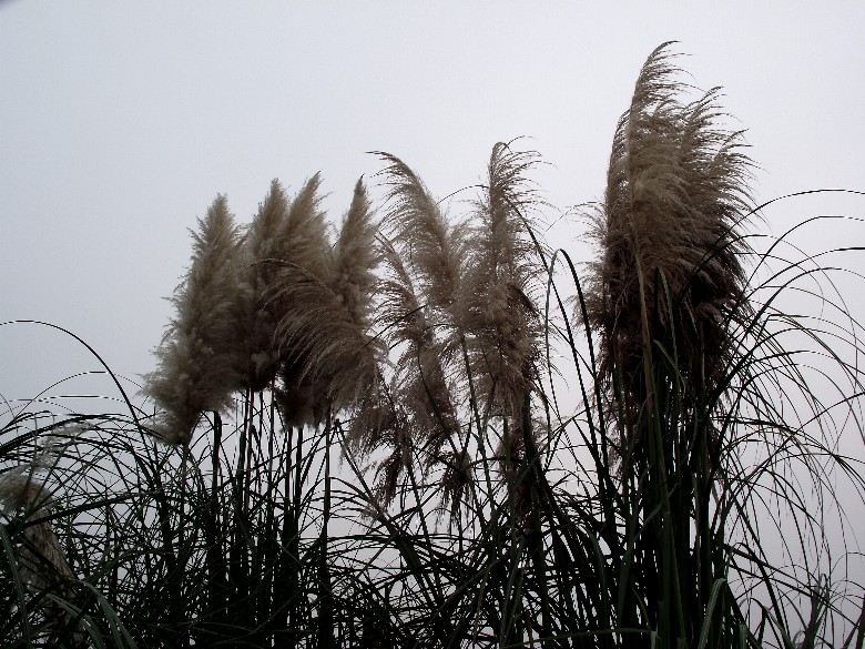 2010_10100057_.jpg