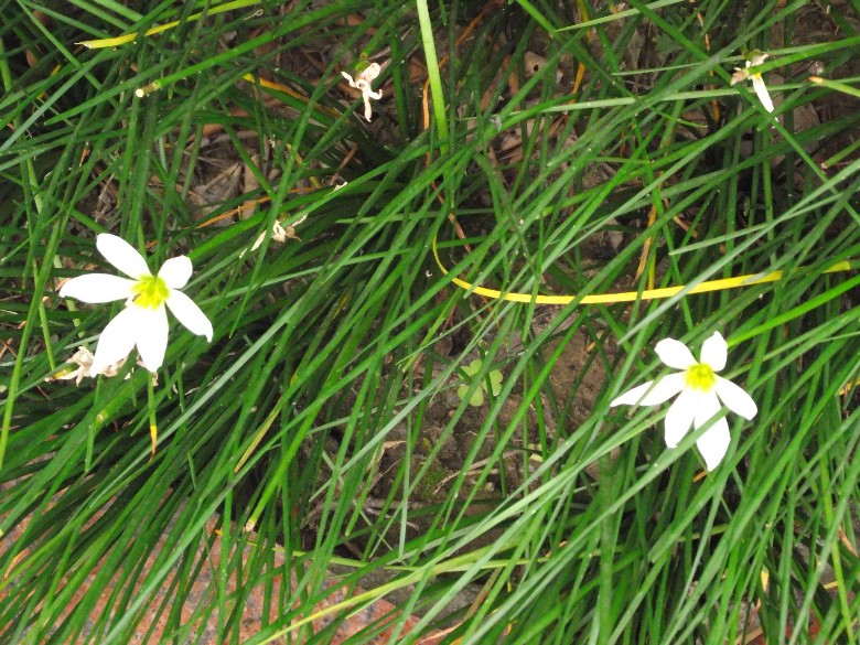 2010_10100055_.jpg
