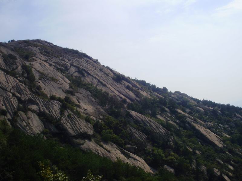 pa060059.jpg