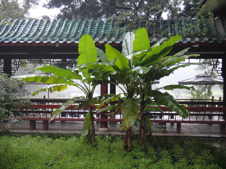 dsc04127.jpg