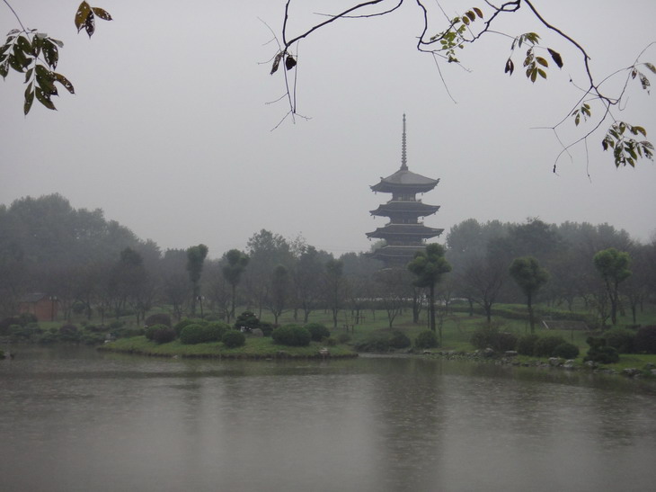 dsc04141.jpg