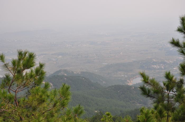 dsc_0859.jpg