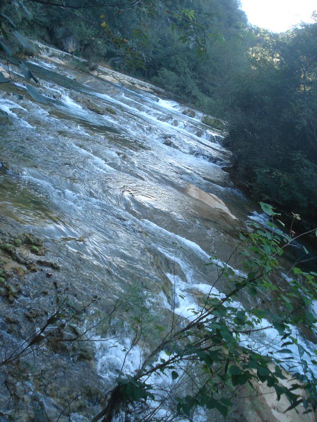 dsc03049.jpg