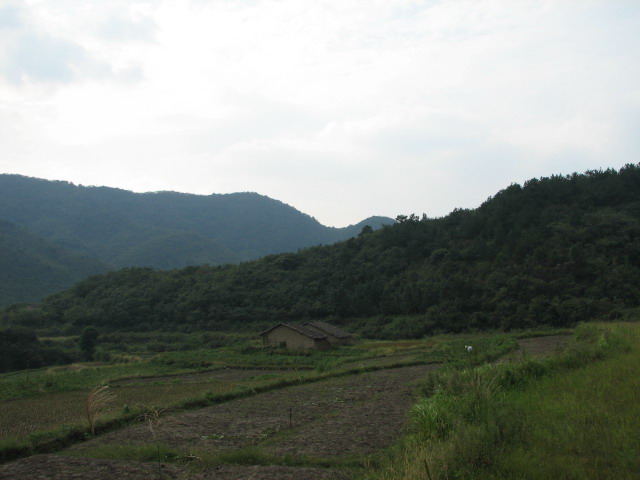 img_0145.jpg