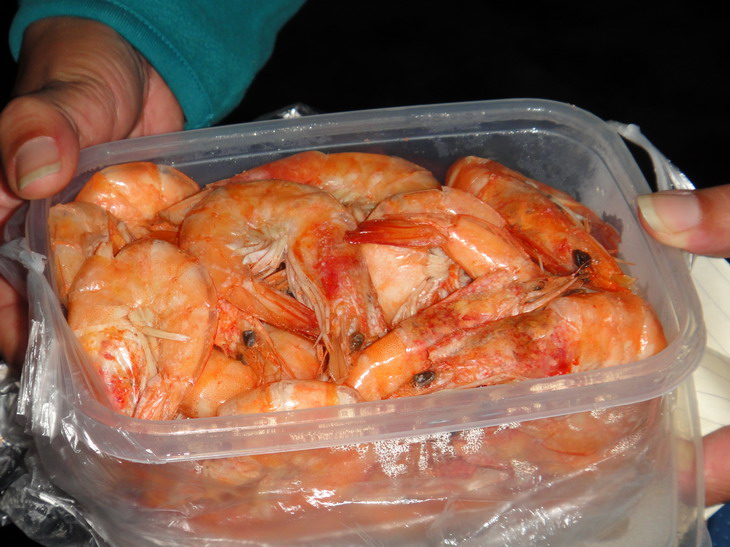 2010101423232289877.jpg