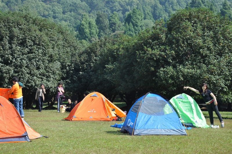 dsc_0544_01.jpg