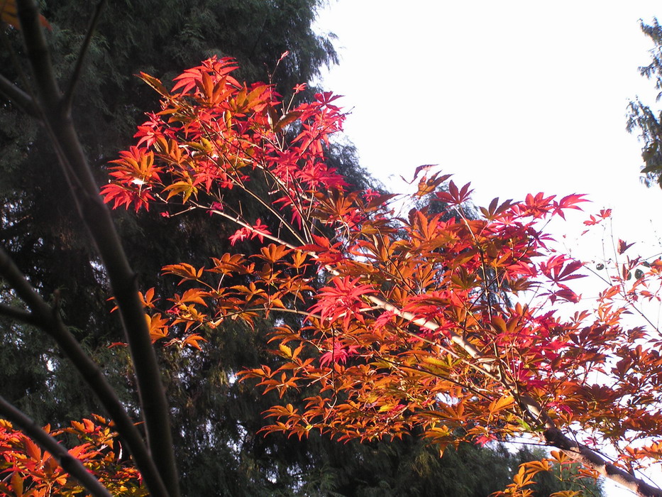 pict0016_С.jpg