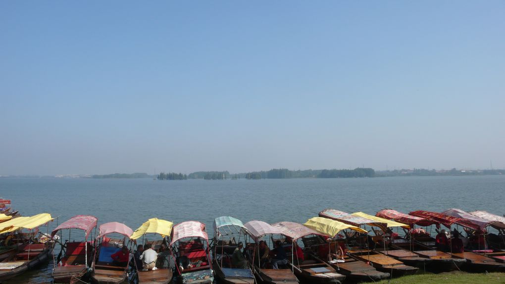 l1090095.jpg