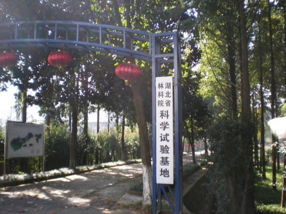 20101017_17.jpg