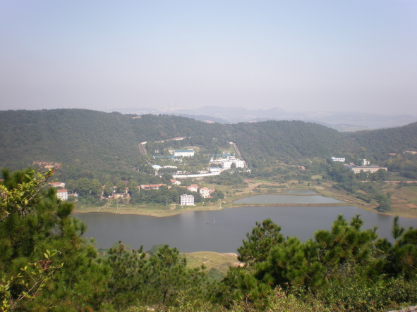 20101017_24.jpg