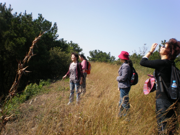 20101017_28.jpg