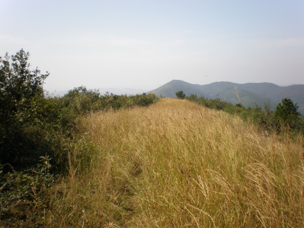 20101017_31.jpg
