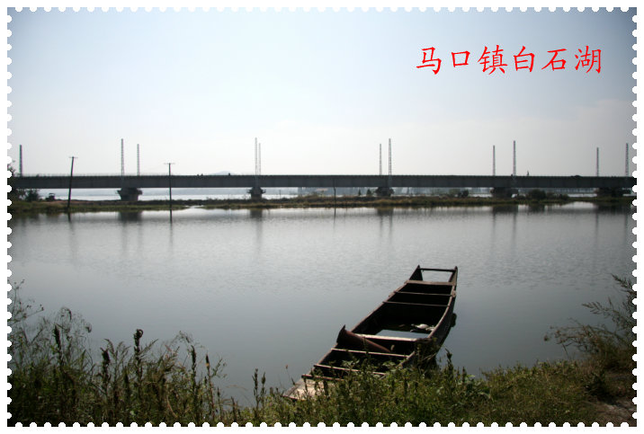  210.jpg
