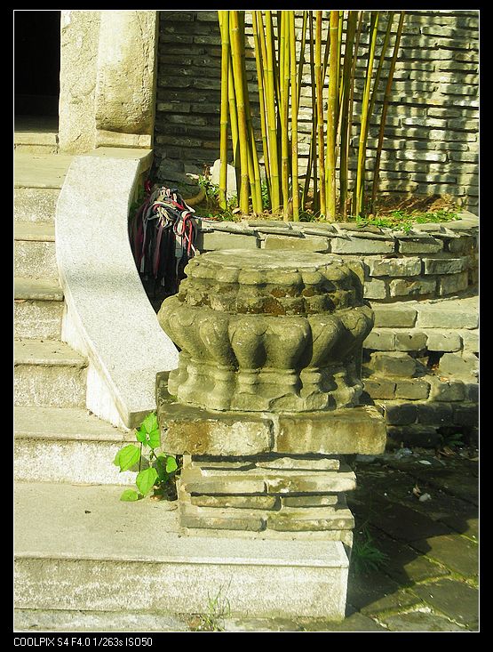 dscn9655.jpg