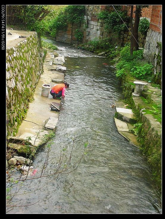 dscn9529.jpg