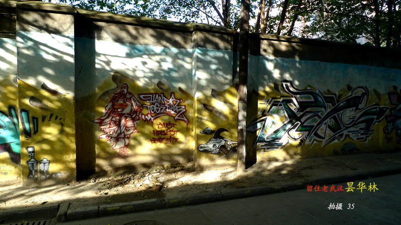 p1050797.jpg