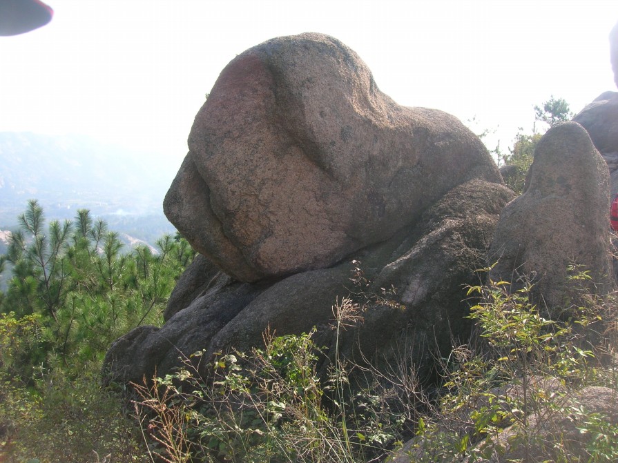 dscn4308.jpg