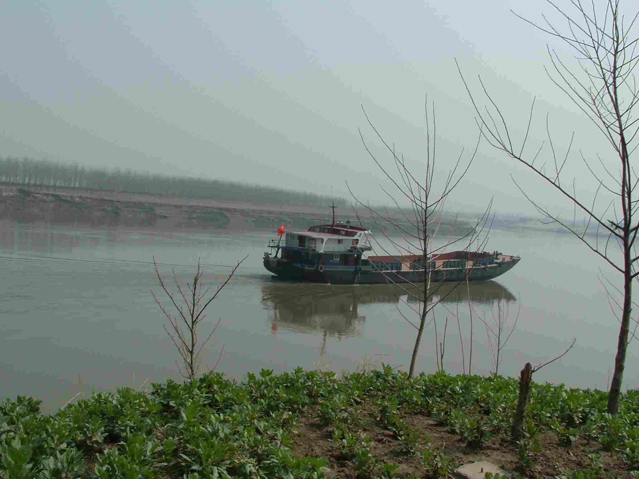 dscf0118.jpg