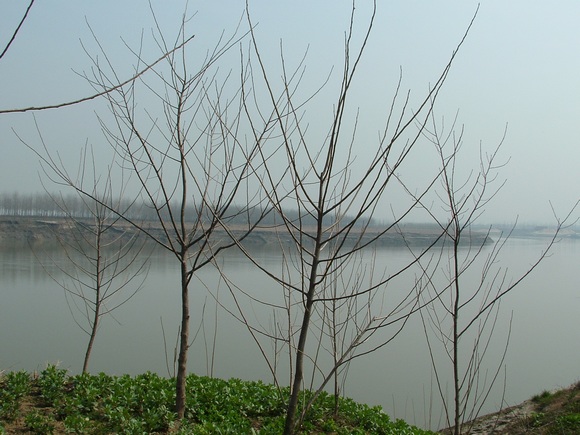 dscf0113.jpg