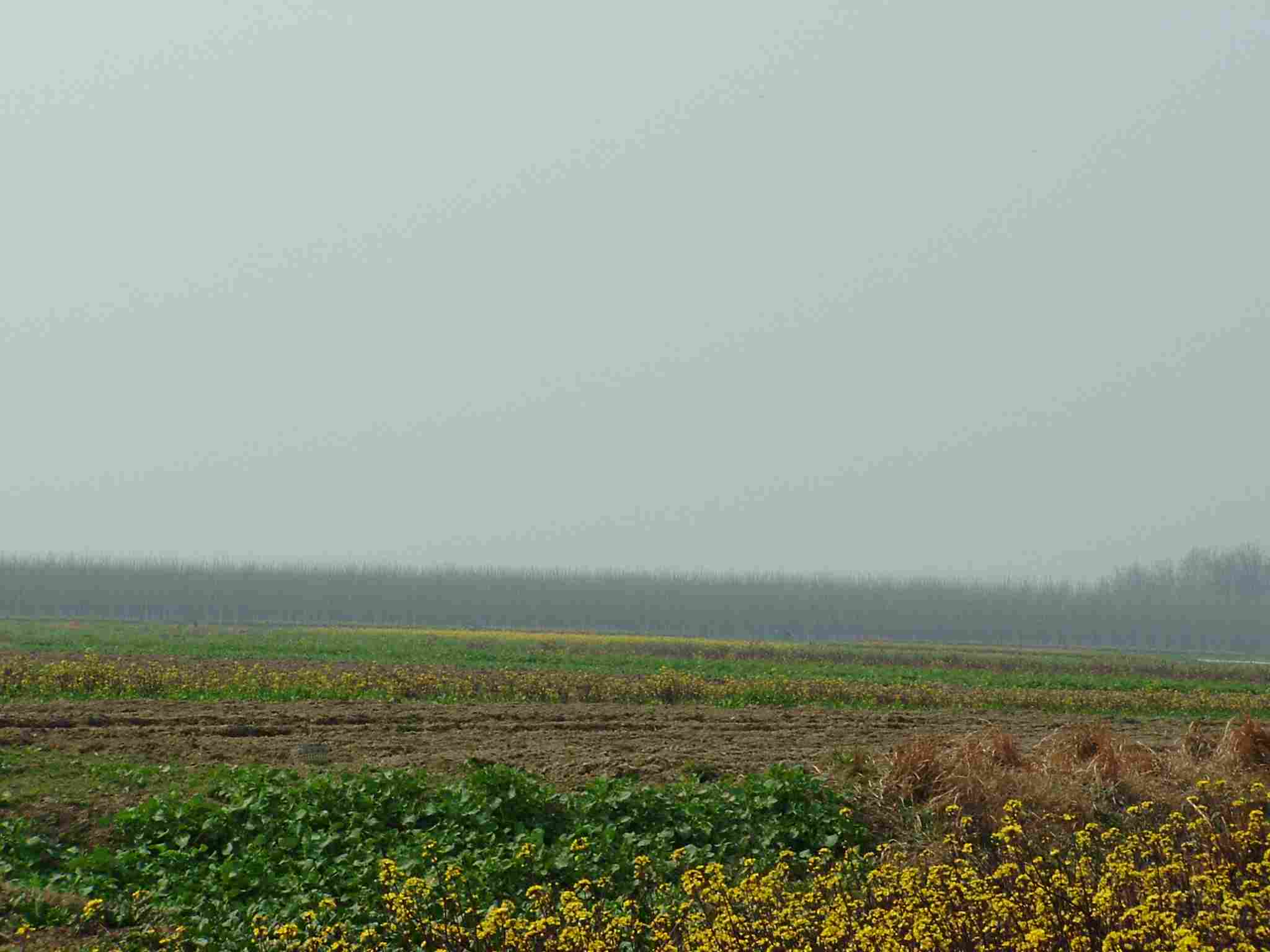 dscf0144.jpg