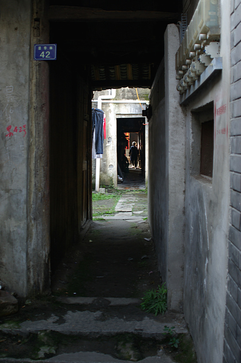 imgp6394.jpg