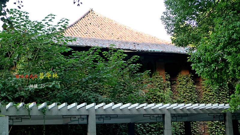 p1050814.jpg