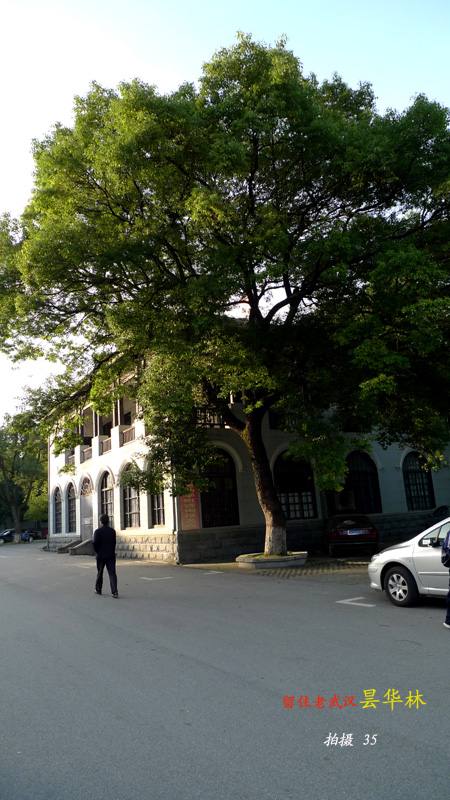 p1050806.jpg