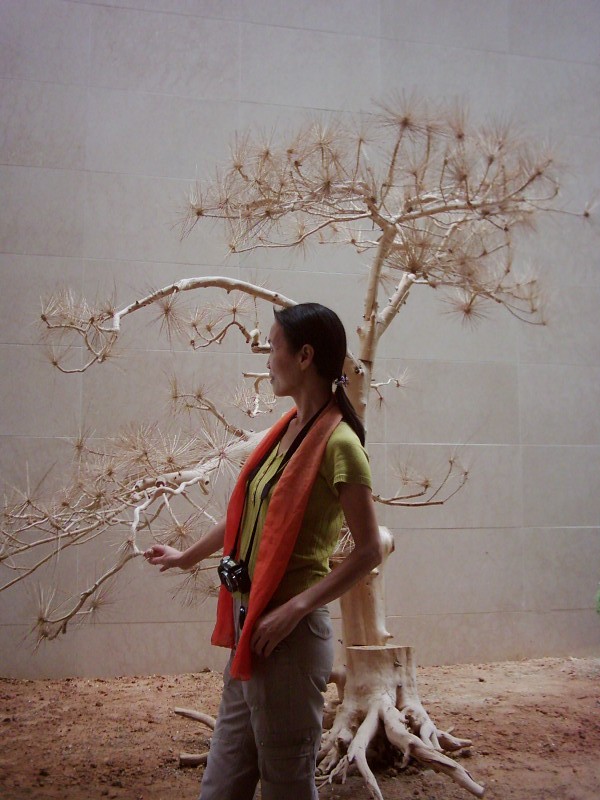 dsci0013.jpg