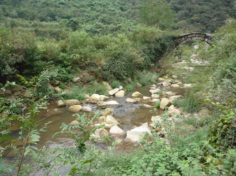 p1020411.jpg